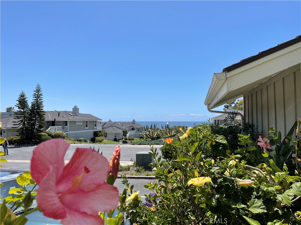 33575 Divers Court, Dana Point CA 92629 - photo 1