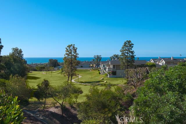 Ocean view from great room, patio and master bedroom - 33582 Dana Vista Drive 41A, Dana Point CA 92629 - photo 1