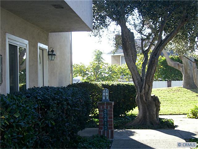 Front Entrance Overlooking Green Area - 33613 AVENIDA CAPRI 56, Dana Point CA 92629 - photo 1