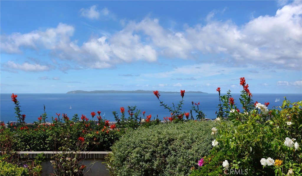 Panoramic Ocean, Catalina Island to Palos Verdes View - 33621 Marlinspike Drive, Dana Point CA 92629 - photo 1