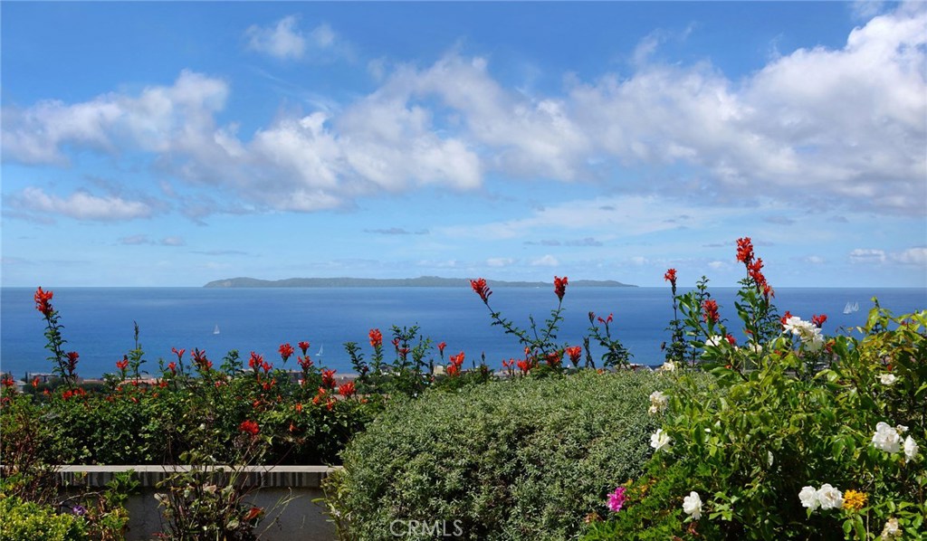 Panoramic Ocean, Catalina Island to Palos Verdes View - 33621 Marlinspike Drive, Dana Point CA 92629 - photo 1