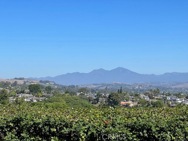 Fantastic Forever Views of the Saddleback Mountains! - 33622 Via Martos, Dana Point CA 92629 - photo 2