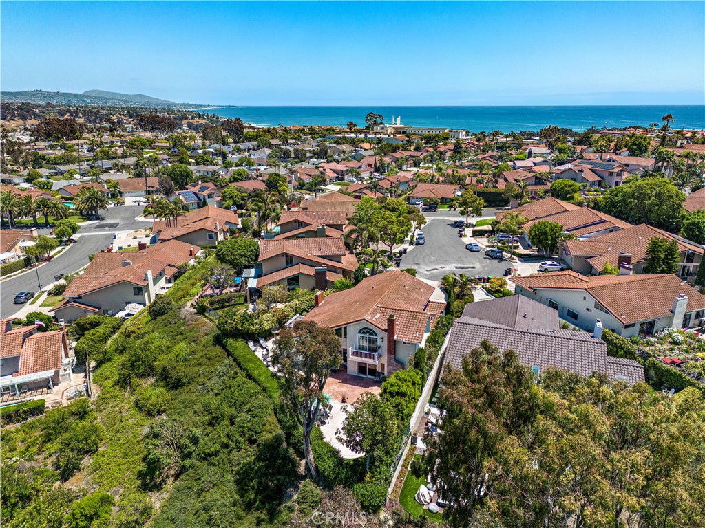 Prime End of Cul-de-Sac Location with Privacy Galore! Huge 3/4 Acre Lot! - 33622 Via Martos, Dana Point CA 92629 - photo 4