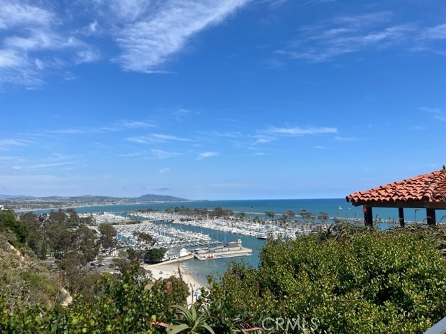 Dana Point Harbor - 33622 Via Martos, Dana Point CA 92629 - photo 44