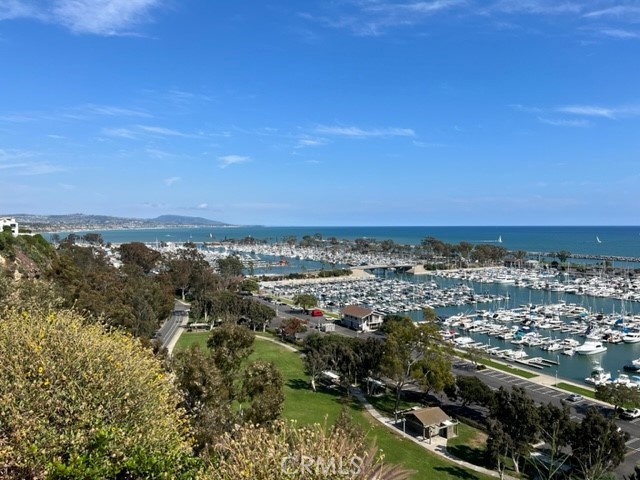 Dana Point Harbor - 33622 Via Martos, Dana Point CA 92629 - photo 46