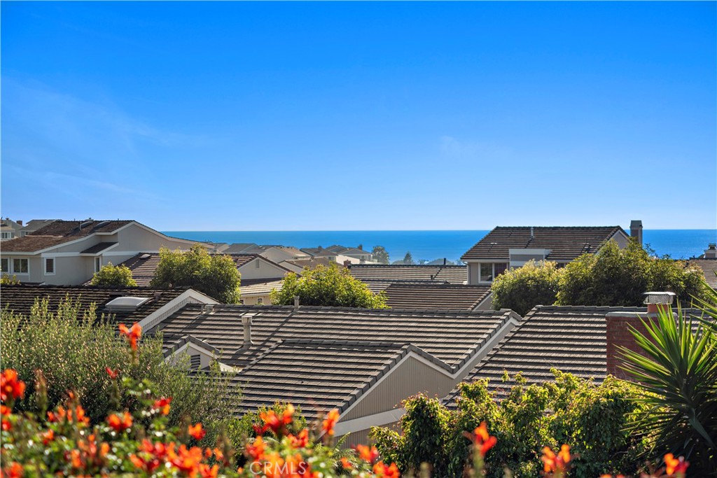 33641 Crossjack Drive, Dana Point CA 92629 - photo 17