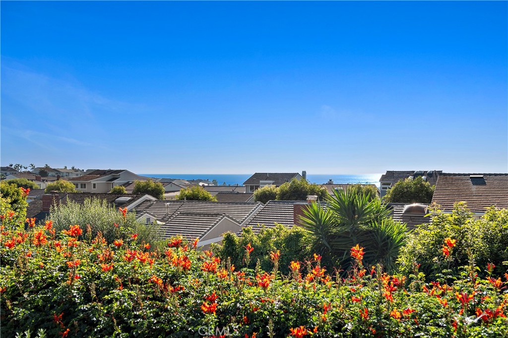 33641 Crossjack Drive, Dana Point CA 92629 - photo 24