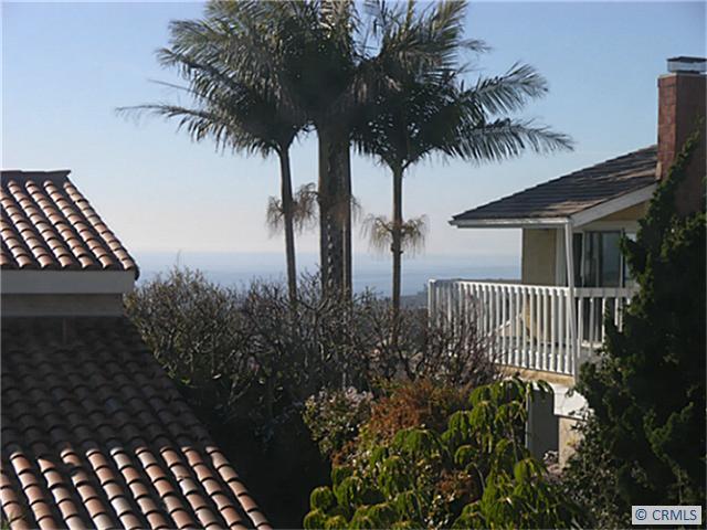 ROOFTOP VIEW - 33671 BLUE LANTERN Street 4, Dana Point CA 92629 - photo 1