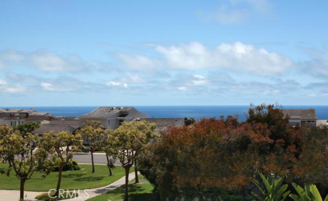 VIEW - 33671 Crossjack Drive, Dana Point CA 92629 - photo 1