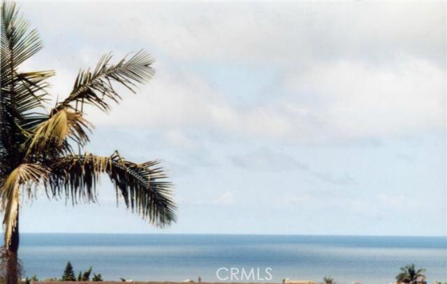 View - 33691 Capstan Drive, Dana Point CA 92629 - photo 1