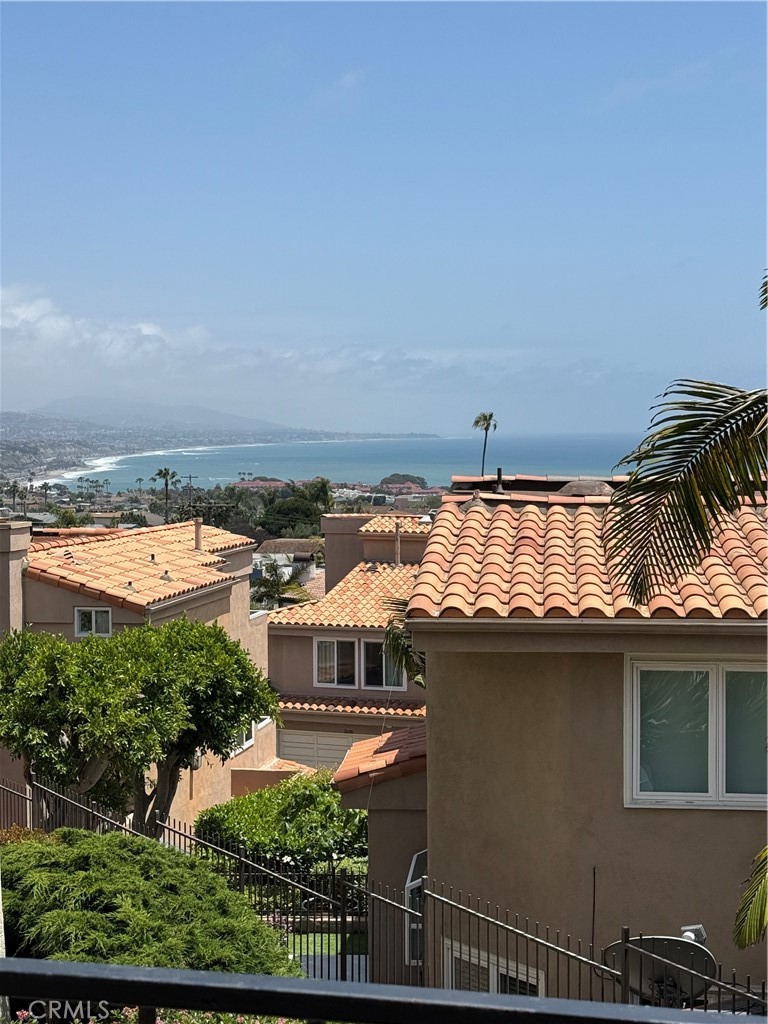 View from 300 ft patio - 33692 Blue Lantern Street D, Dana Point CA 92629 - photo 1
