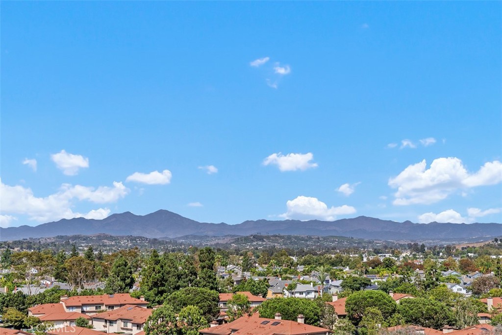 33722 Bridgehampton Drive, Dana Point CA 92629 - photo 30