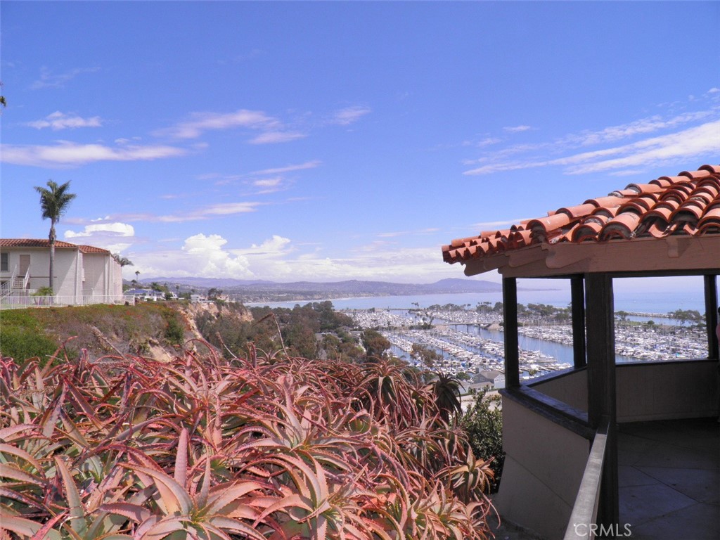33722 Bridgehampton Drive, Dana Point CA 92629 - photo 46