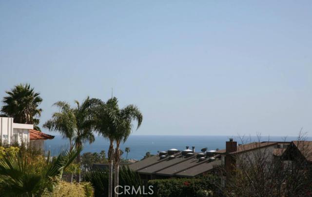 VIEWS FROM FRONT DECK - 33751 3 Castano Drive 3, Dana Point CA 92629 - photo 1