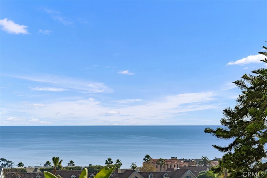 33782 Colegio Drive, Dana Point CA 92629 - photo 26
