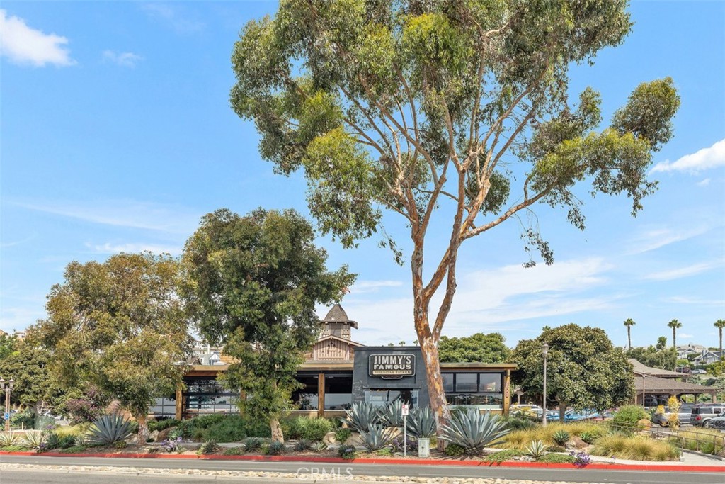 33782 Robles Drive, Dana Point CA 92629 - photo 43