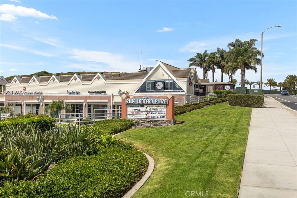 33782 Robles Drive, Dana Point CA 92629 - photo 53