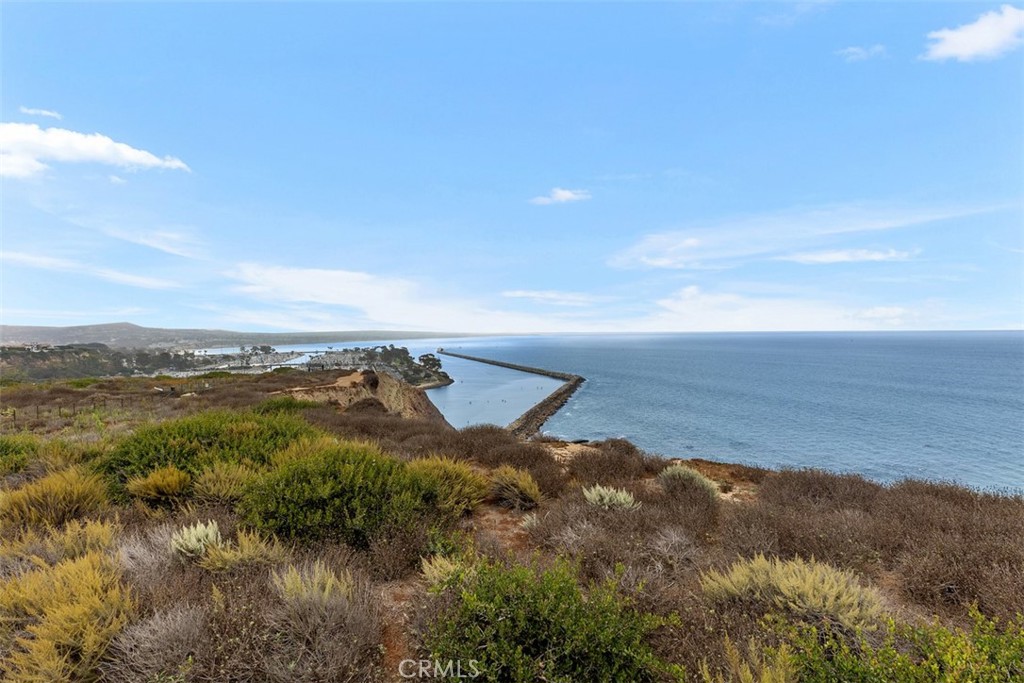 33782 Robles Drive, Dana Point CA 92629 - photo 61