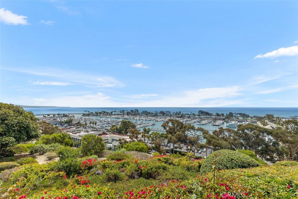 33782 Robles Drive, Dana Point CA 92629 - photo 70