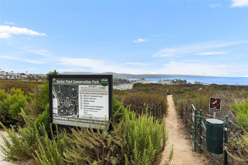 33782 Robles Drive, Dana Point CA 92629 - photo 74