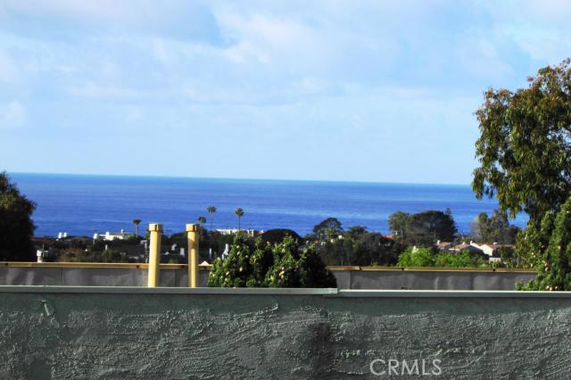 Ocean view from living room - 33791 Mariana Drive 1, Dana Point CA 92629 - photo 1