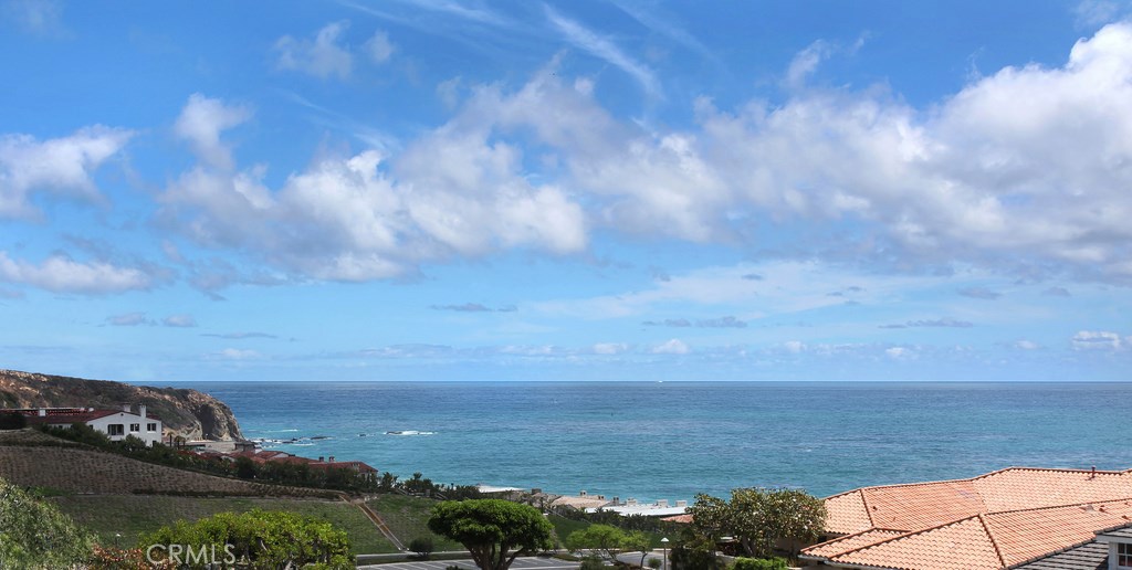 Panoramic Ocean to Whitewater Views - 33821 Mercator, Dana Point CA 92629 - photo 1