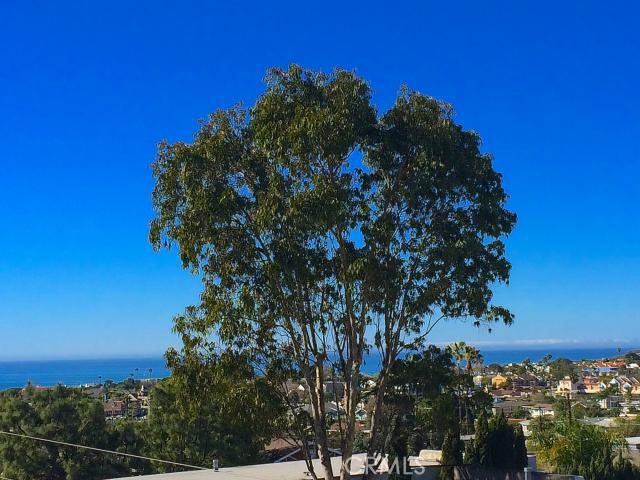 33821 Unit C Mariana Drive, Dana Point CA 92629 - photo 1