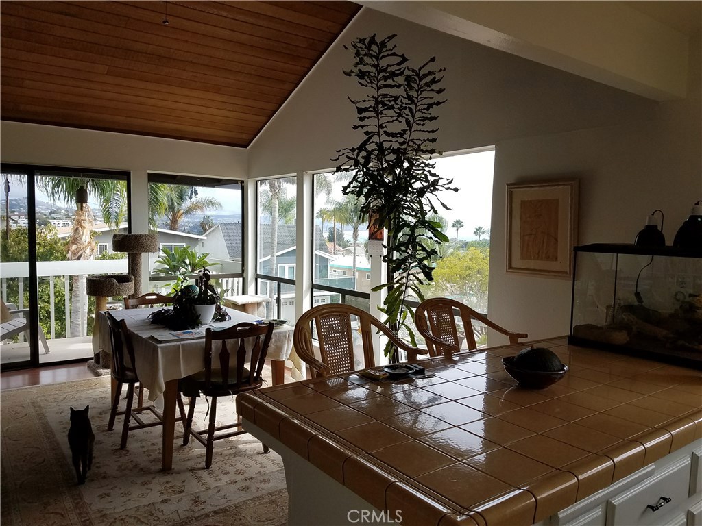 33841 Diana Drive B, Dana Point CA 92629 - photo 1