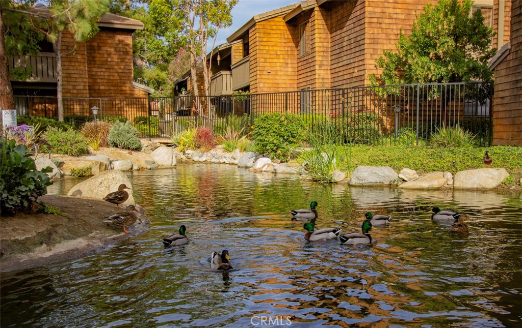 Babbling Brook - 33852 Del Obispo Street 103, Dana Point CA 92629 - photo 1