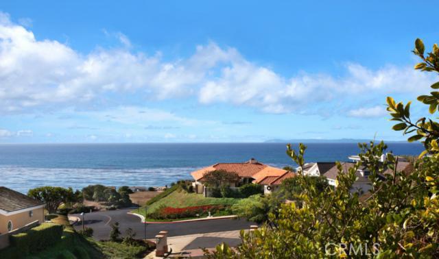 VIEW - 33871 Mercator, Dana Point CA 92629 - photo 1