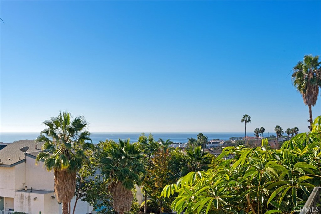 Serene ocean view greets you as you enter the building. - 33901 Mariana Drive 2, Dana Point CA 92629 - photo 1