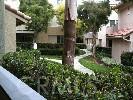 Beautiful Grounds in Corniche - 34 e Corniche Drive E, Dana Point CA 92629 - photo 1