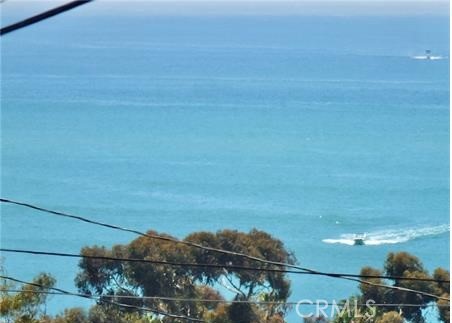 34031 Pequito Drive A, Dana Point CA 92629 - photo 37