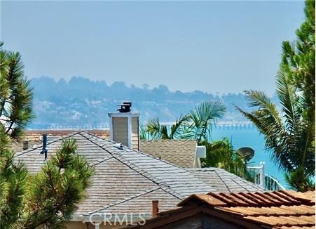 34031 Pequito Drive A, Dana Point CA 92629 - photo 38