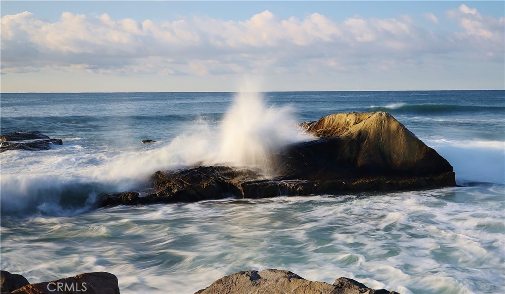 34031 Pequito Drive A, Dana Point CA 92629 - photo 41