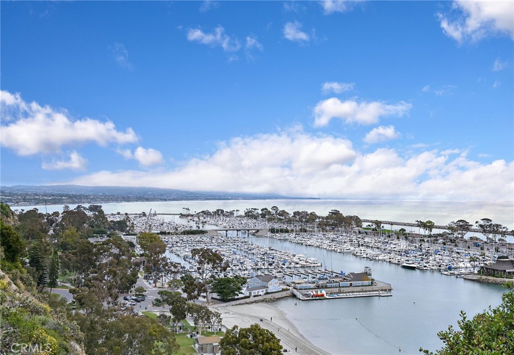 One mile to Dana Point Harbor and Doheny beach - 34051 Violet Lantern, Dana Point CA 92629 - photo 33
