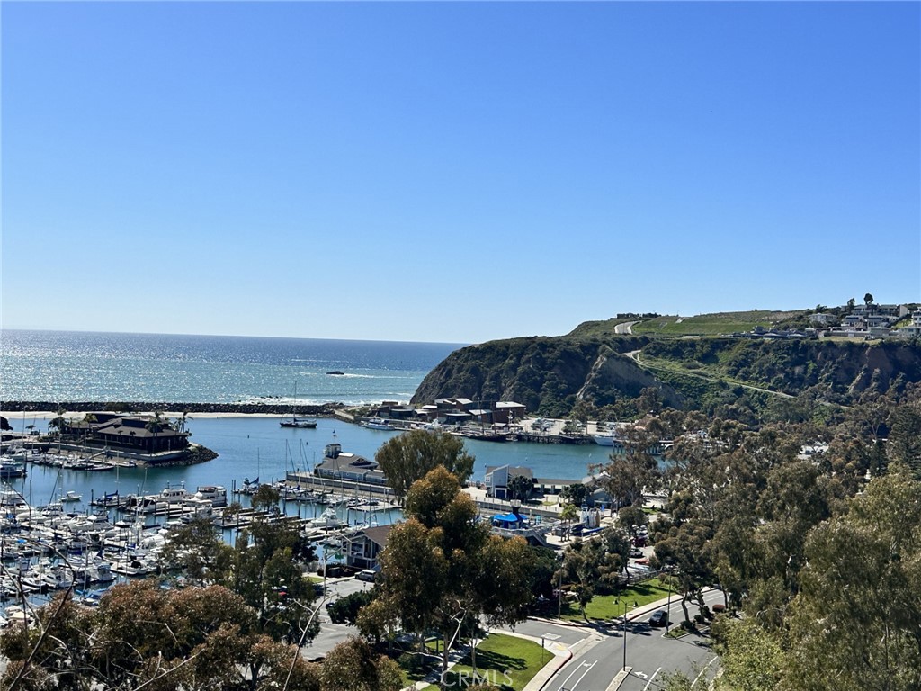 34051 Violet Lantern, Dana Point CA 92629 - photo 40