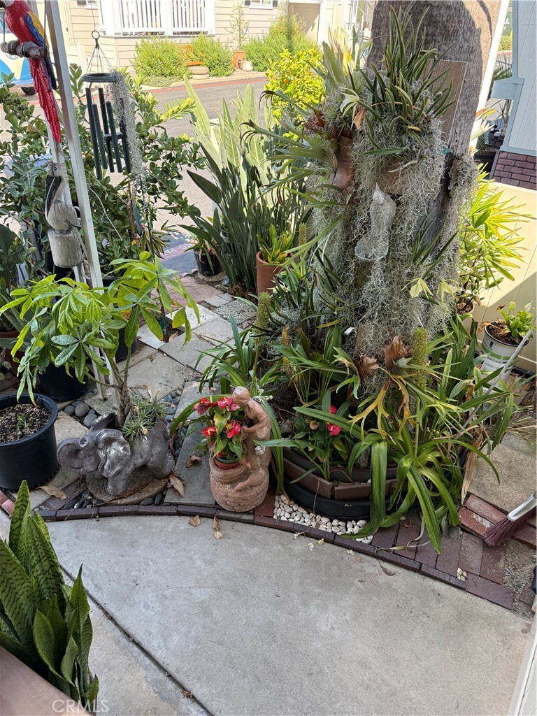 34052 Doheny Park, Dana Point CA 92624 - photo 5