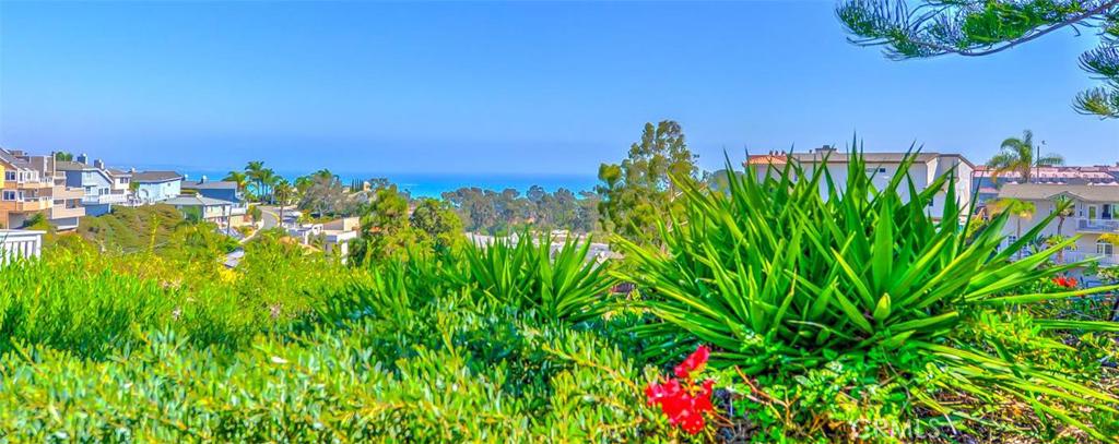 34081 Pequito Drive, Dana Point CA 92629 - photo 1