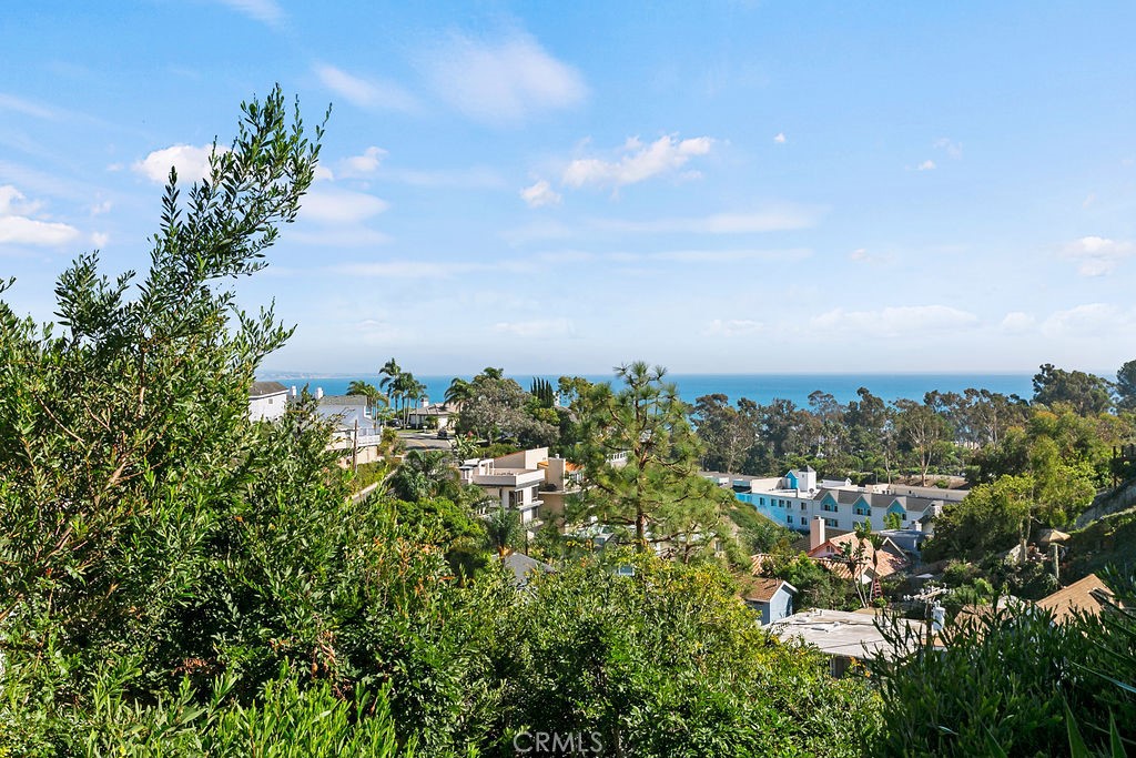 34081 Pequito Drive, Dana Point CA 92629 - photo 1