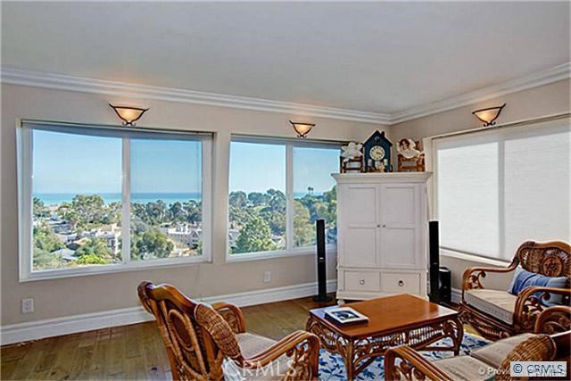 34092 Pequito, Dana Point CA 92629 - photo 17