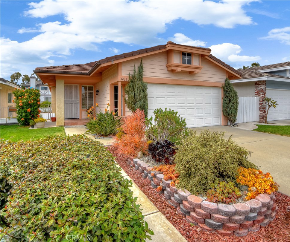 34111 Callita Drive, Dana Point CA 92629 - photo 1