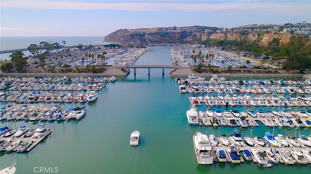 34115 Violet Lantern 1, Dana Point CA 92629 - photo 40