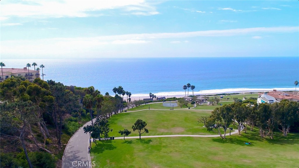 34115 Violet Lantern 1, Dana Point CA 92629 - photo 42