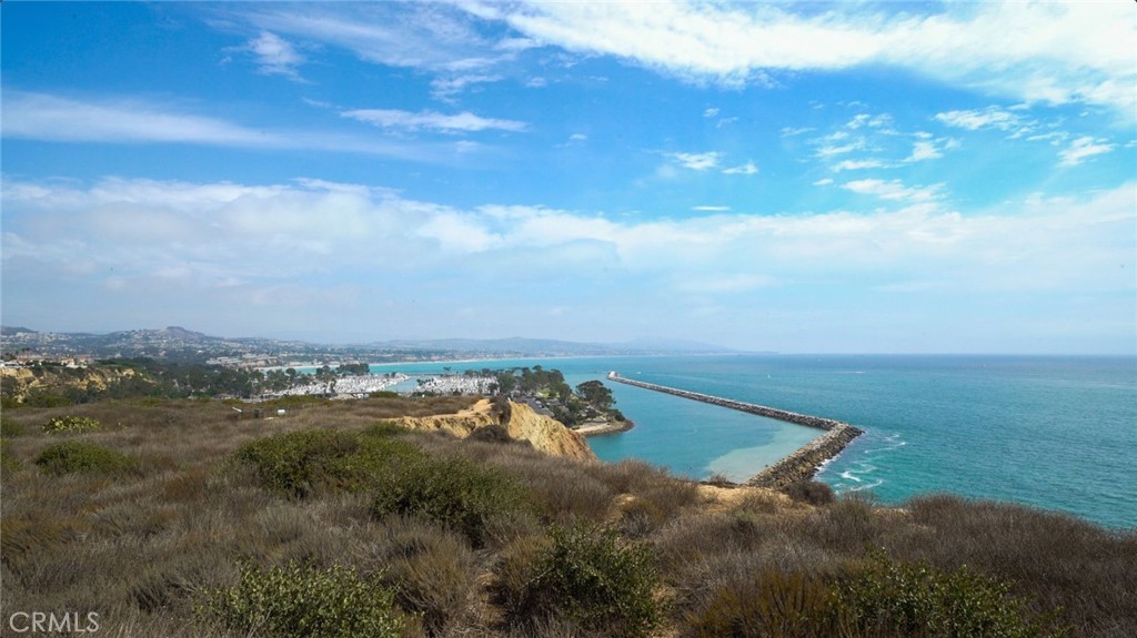 34115 Violet Lantern 1, Dana Point CA 92629 - photo 49
