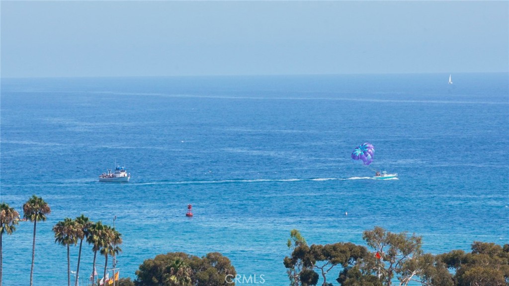 34115 Violet Lantern 1, Dana Point CA 92629 - photo 50