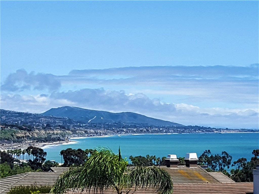This photo was taken from the rear upper deck looking straight out. This deck is accessed from both the dining room and - 34126 Moongate Court, Dana Point CA 92629 - photo 1