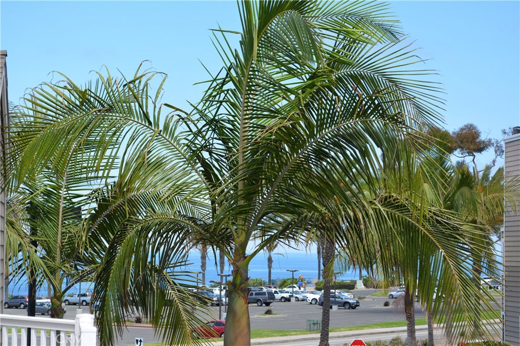 34130 Selva Road 259, Dana Point CA 92629 - photo 1