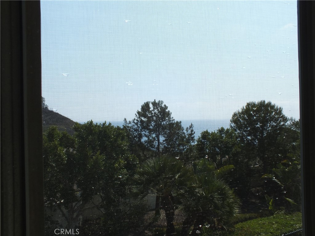 34140 Selva Road 221, Dana Point CA 92629 - photo 10
