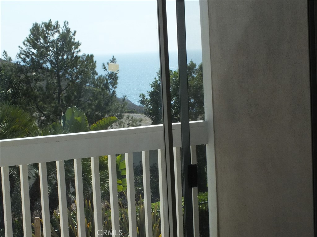 34140 Selva Road 221, Dana Point CA 92629 - photo 30